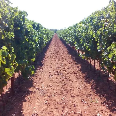 Bed & Breakfast Korta Gira