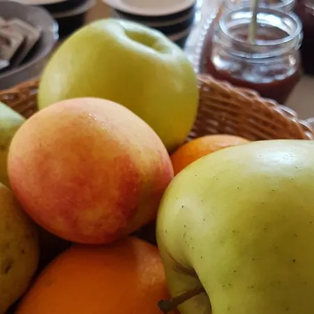 Nocleg ze śniadaniem Korta Gira Buici (Istria)