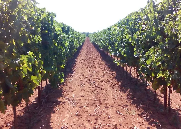 Bed & Breakfast Korta Gira